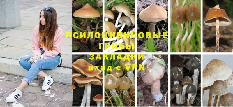 Псилоцибиновые грибы Magic Shrooms  MEGA сайт  Кирс 